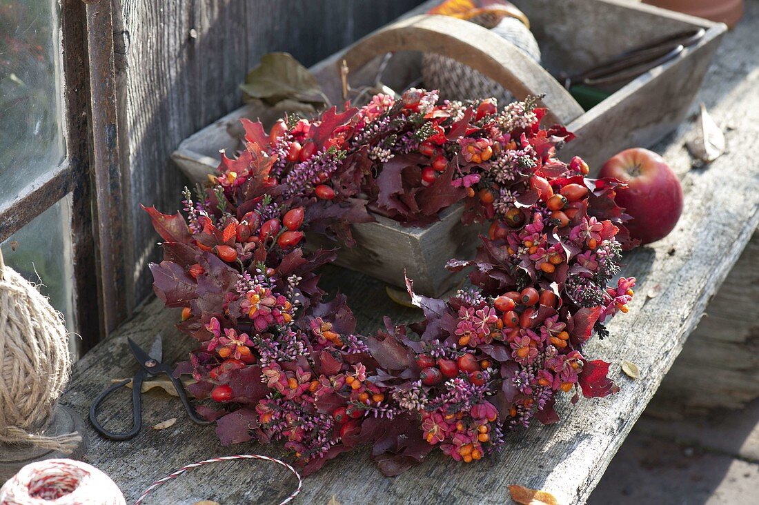 Autumn wreath in different shades of red, Quercus leaves