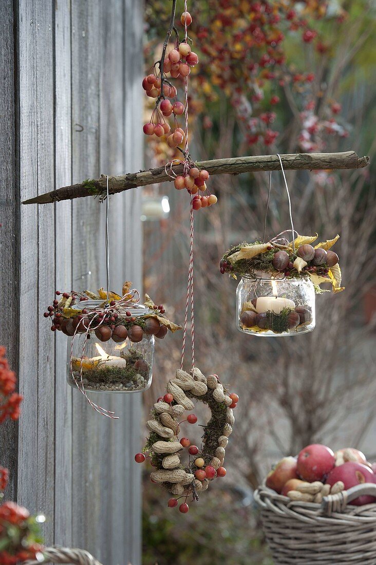 Lanterns decorated with hazelnuts, Rose