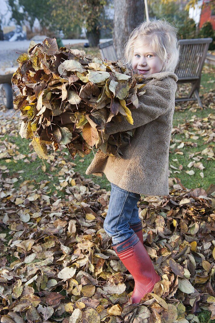 Herbstlaub im Garten