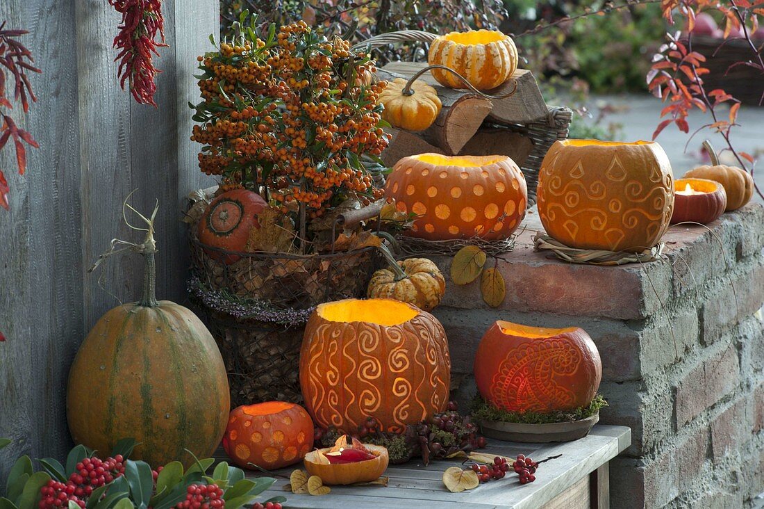 Arrangement of decorative carved pumpkins