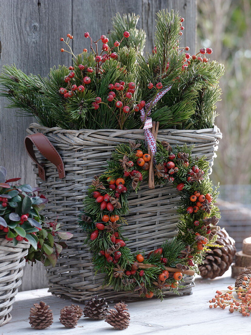Basket with branches of pinus (pine) and roses (rosehip)