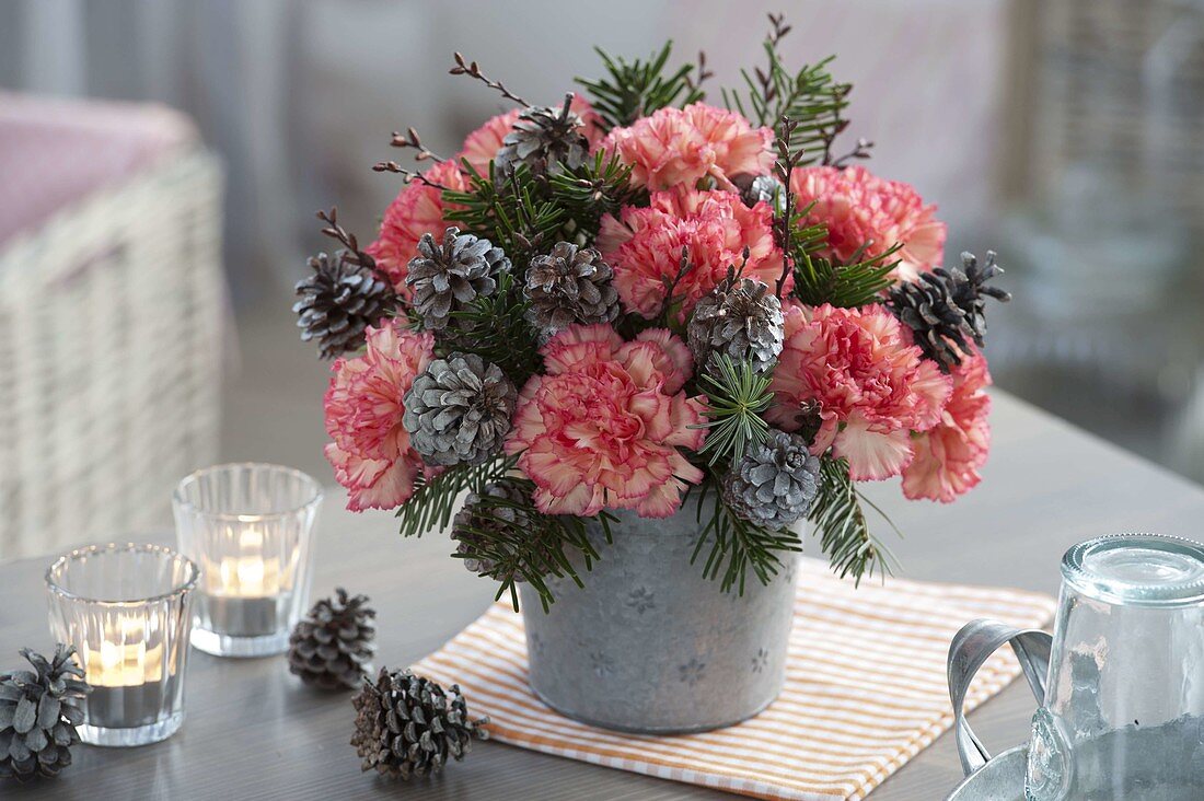 Winter bouquet made of Dianthus (carnation), Abies twigs