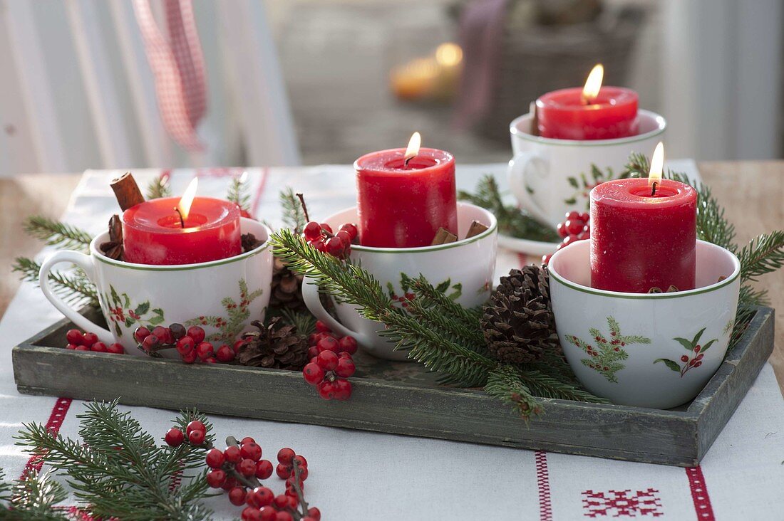 Schneller Adventskranz in weihnachtlichen Tassen mit roten Kerzen, Picea