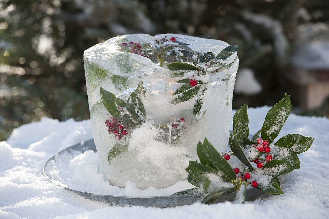 Selbstgemachtes Eiswindlicht mit eingefrorenen Blättern und Beeren von Ilex
