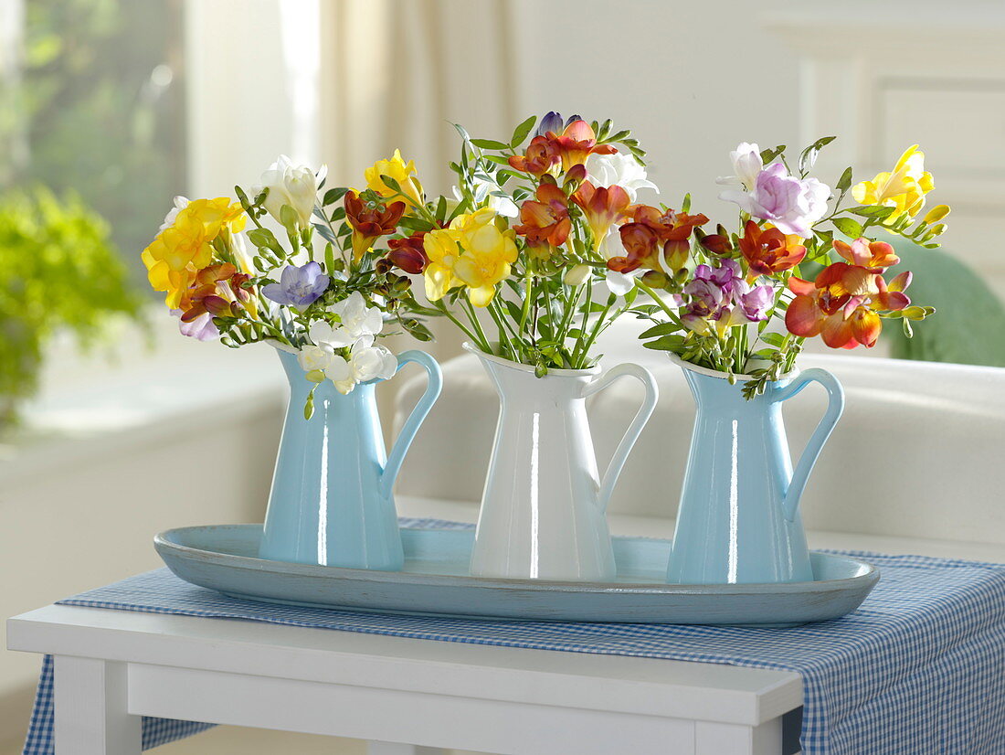 Small colorful freesia bouquets in enameled pitchers