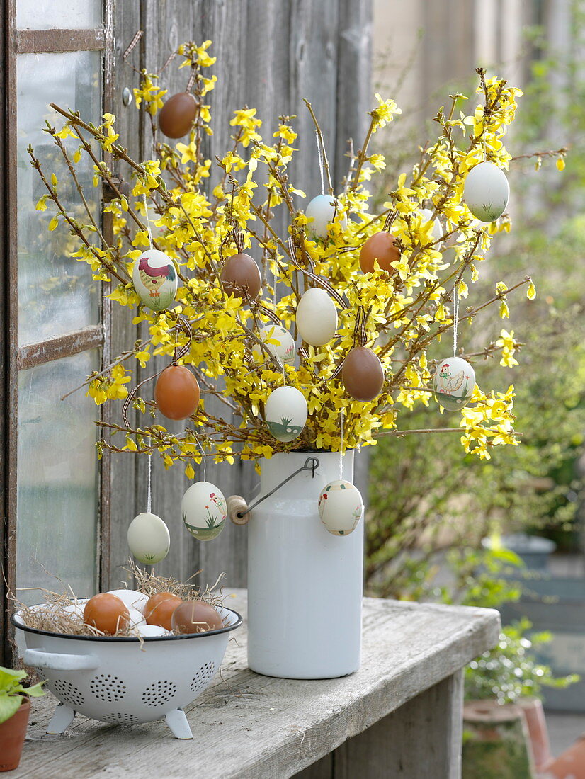 Easter bouquet of forsythia (gold bells) with painted easter eggs