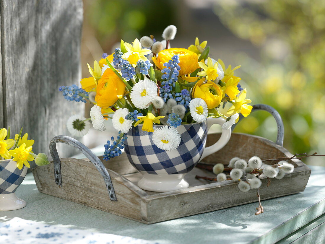Kleiner Frühlingsstrauß in blau-weißer Tasse : Ranunculus (Ranunkeln), Bellis