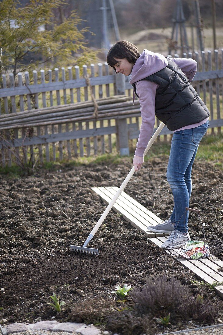 Frau glättet mit einem Rechen im Frühjahr den Boden als Vorbereitung