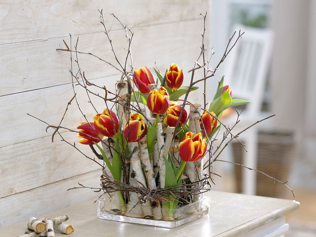 Gesteck aus Tulipa (Tulpen) , Äste von Betula (Birke) als Steckhilfe