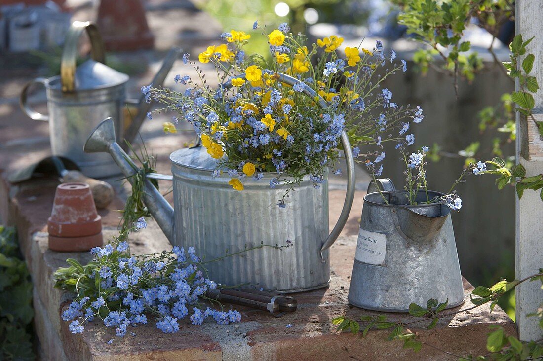 Blau-gelber Frühlingsstrauß in Zink-Gießkanne als Vase