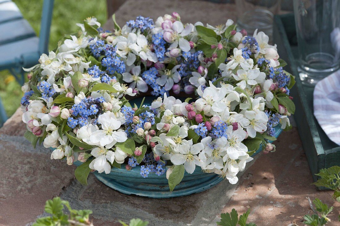 Blau-weißer Kranz aus Apfelblüten (Malus) und Myosotis (Vergißmeinnicht)