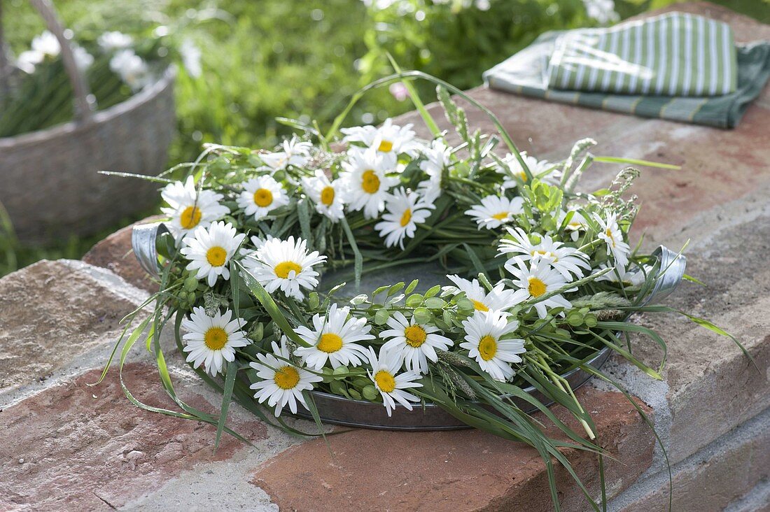 Wiesenkranz aus Leucanthemum vulgare (Margeriten), Thlaspi (Ackertäschel)