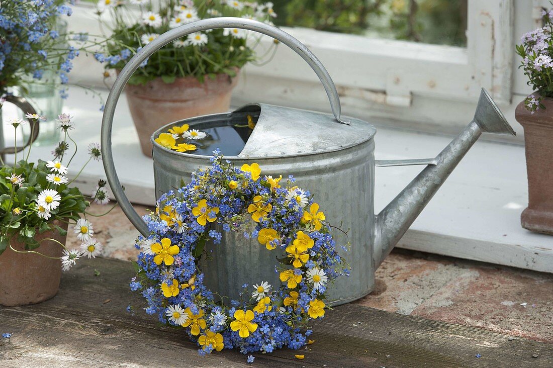 Blue-yellow spring wreath and zinc watering can at the greenhouse window