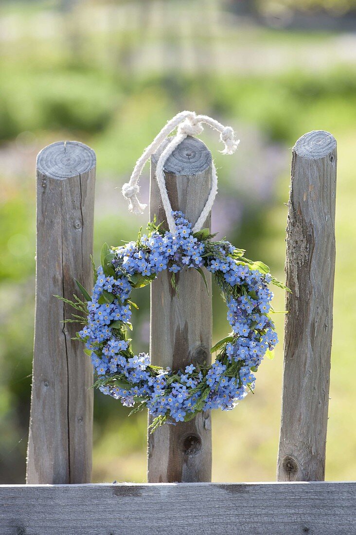 Wreath of Myosotis (forget-me-not) on the fence