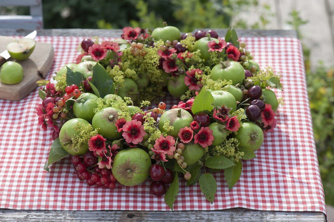 Gesteckter Kranz aus abgefallenen grünen Äpfeln (Malus), Potentilla