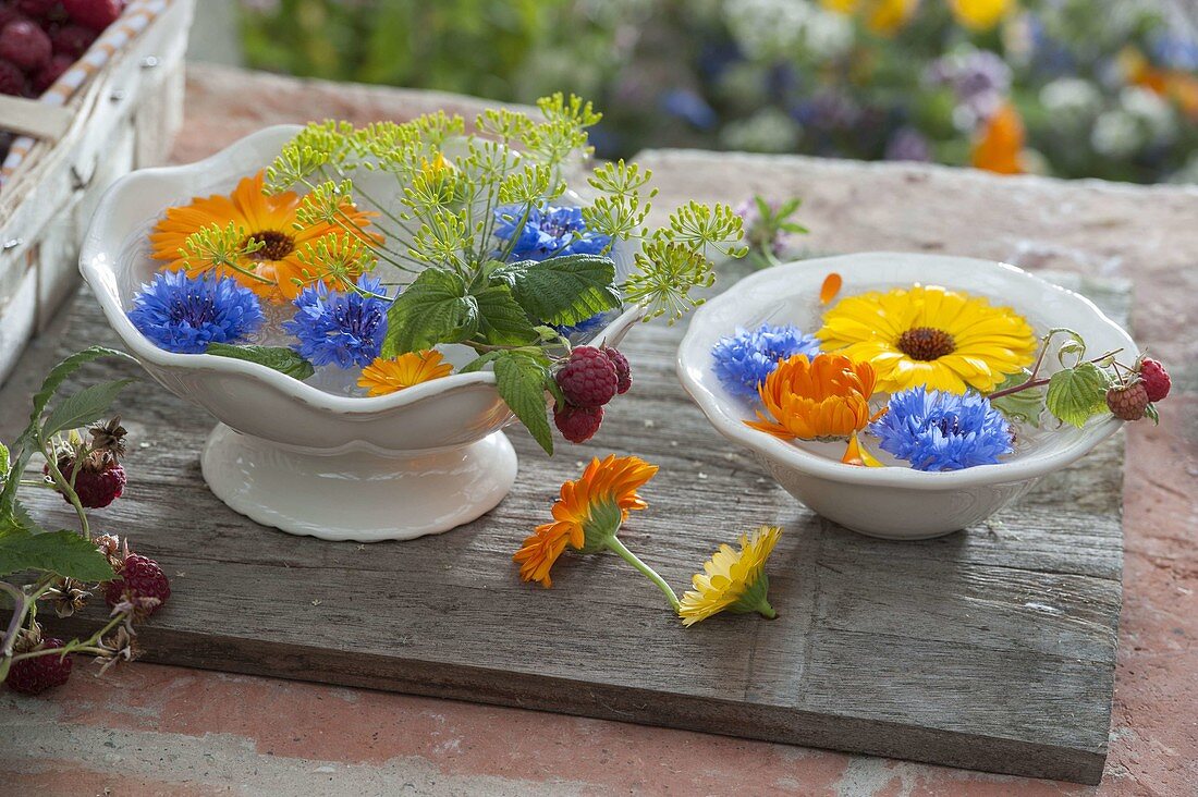 Blüten von Centaurea cyanus (Kornblumen), Calendula (Ringelblumen)