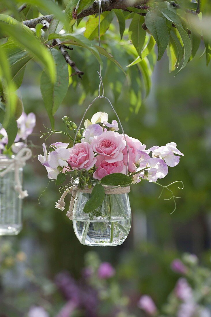 Small glass with Lathyrus and Rose hanged on branch
