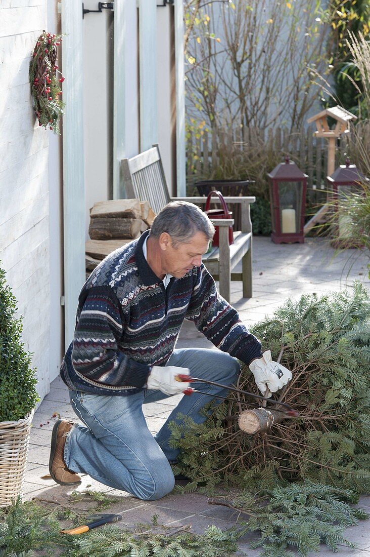 Weihnachtsbaum in Ständer stellen und schmücken