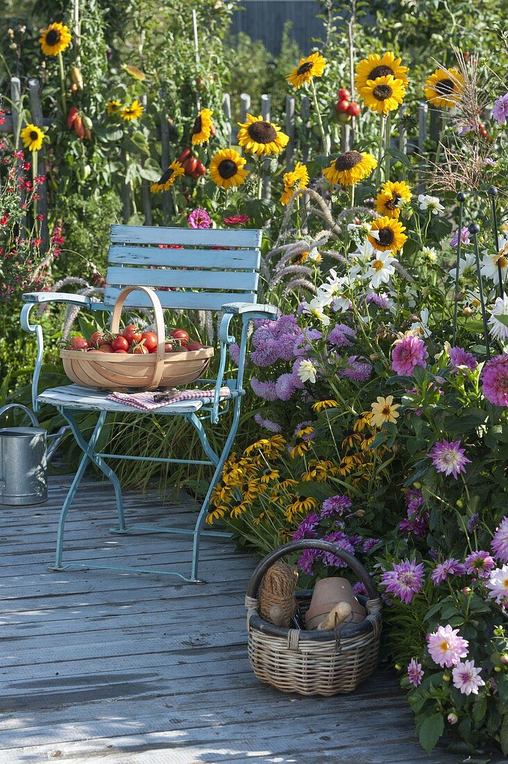 Sommerblumenbeet am Holzdeck