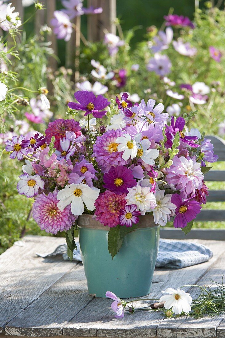 Pink-white bouquet from Cosmos (daisies), Dahlia