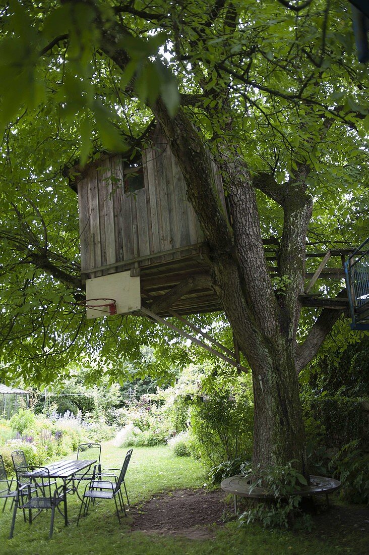 Treehouse in walnut tree, tree bench and sitting group on the lawn