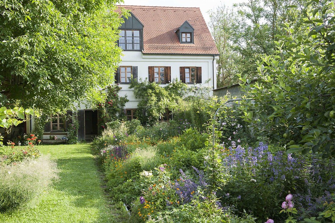 Bunter Garten mit Sommerblumen, Rosen und Stauden