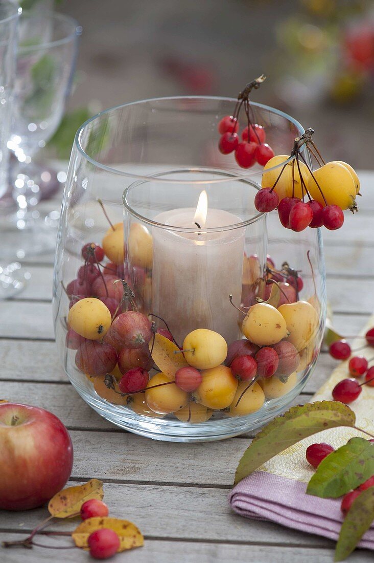 Glass in glass as lantern with malus (ornamental apple)