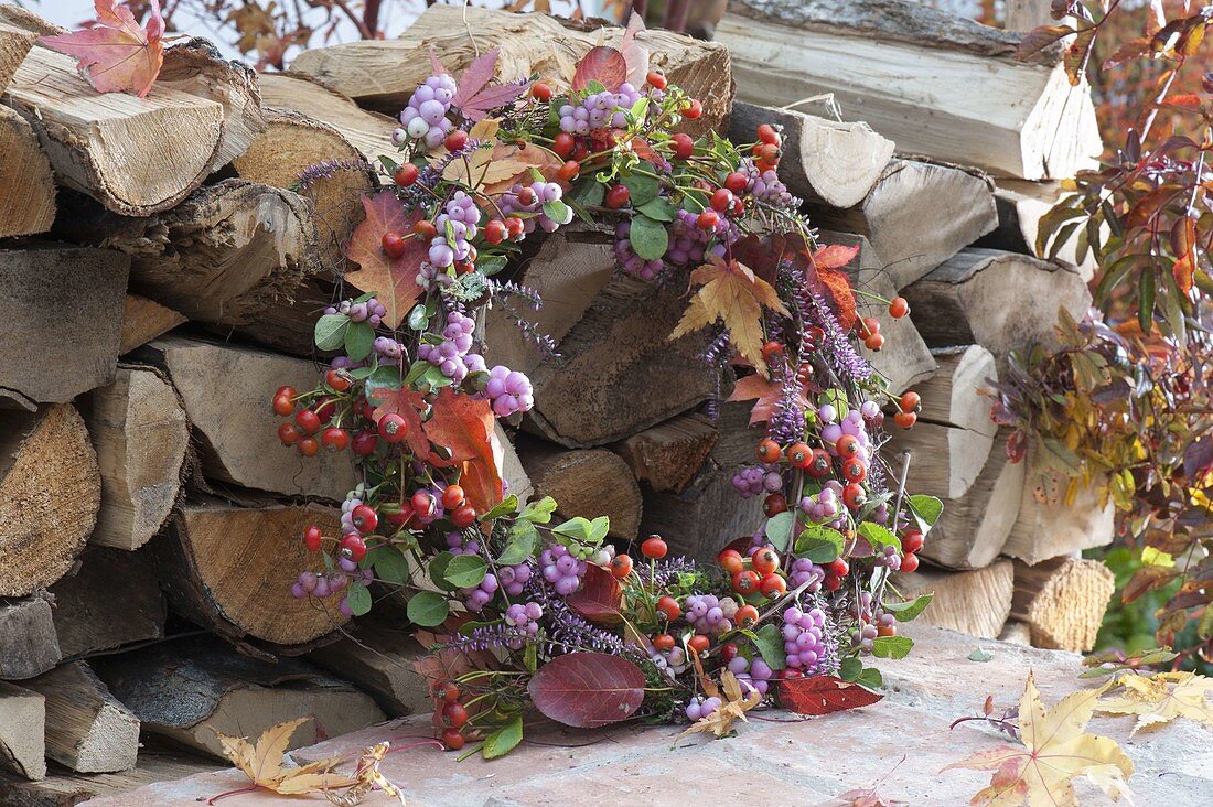 Herbstkranz an Brennholz angelehnt mit Rosa (Hagebutten), Symphoricarpos