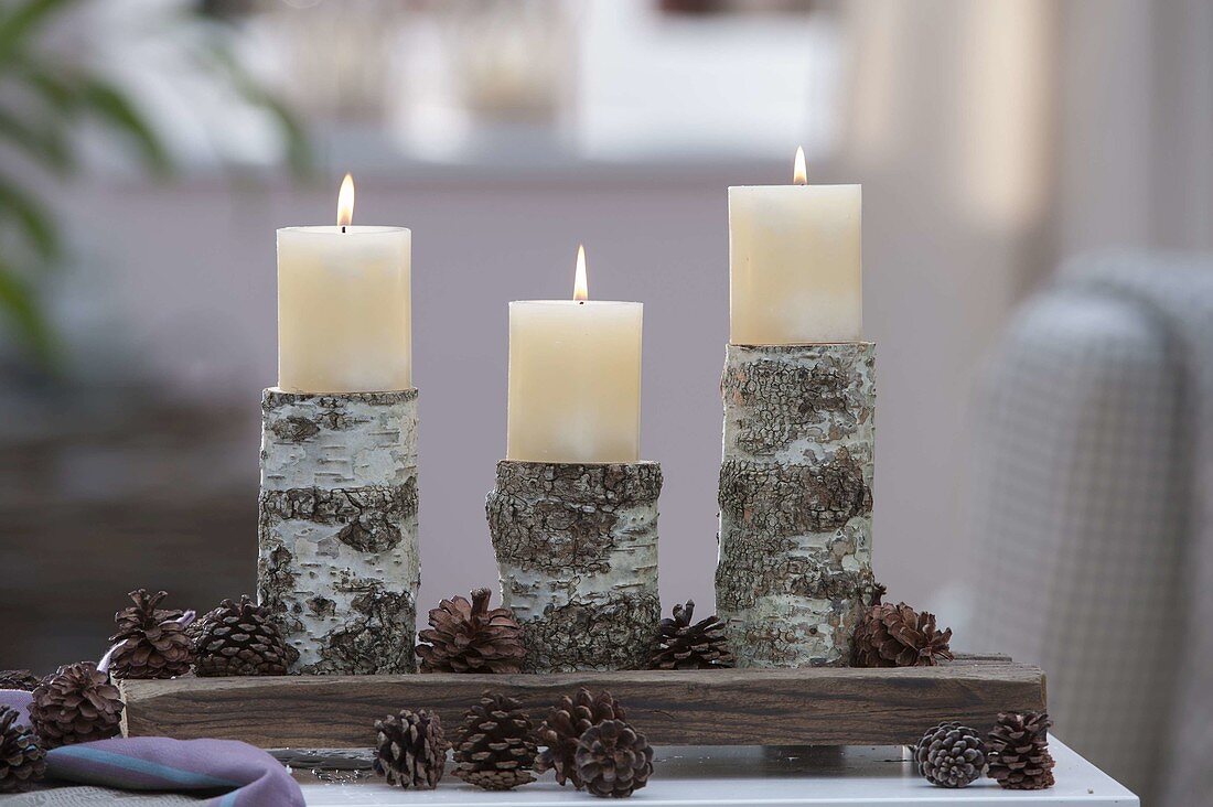 Pieces of Betula (birch) as candle holder on wooden board, cones of Pinus