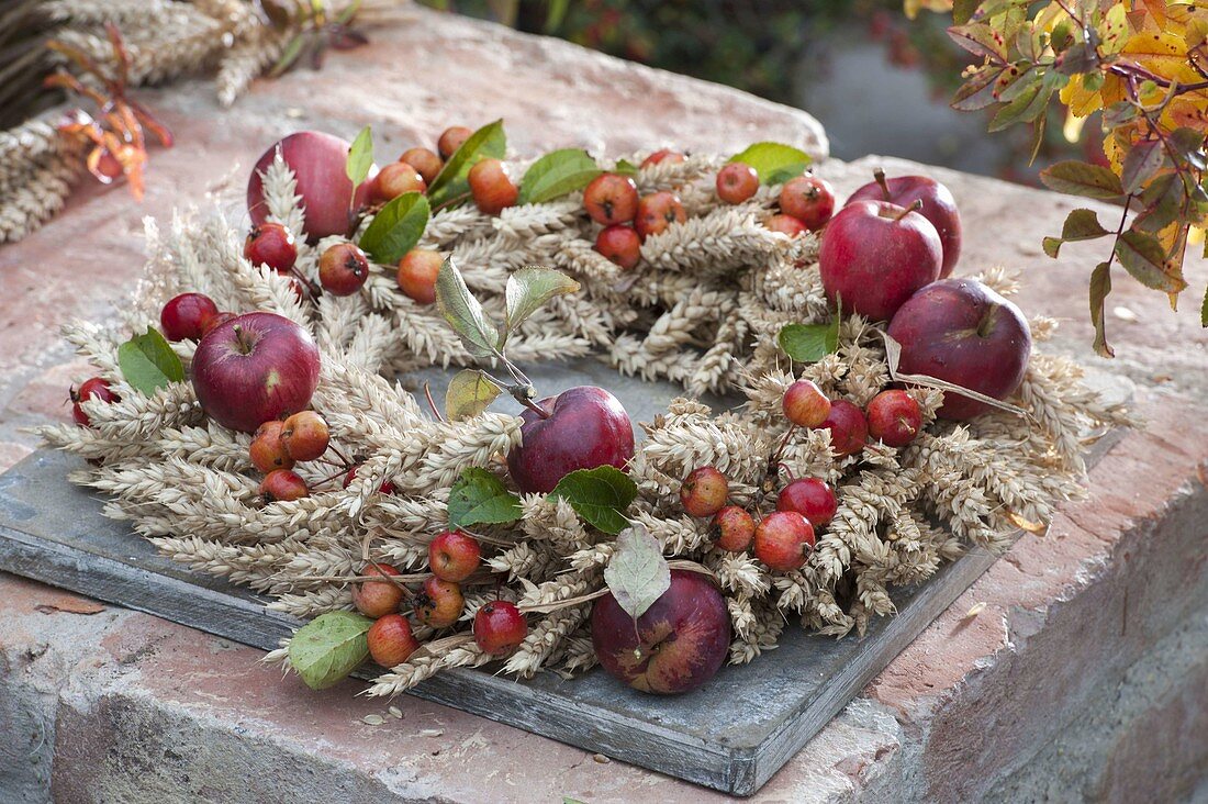 Thanksgiving wreath with wheat, apples and ornaments