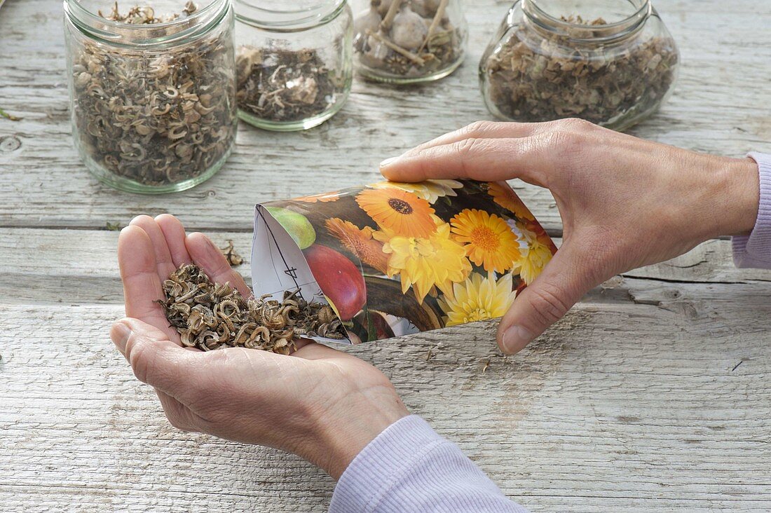 Make paper bags for seeds yourself