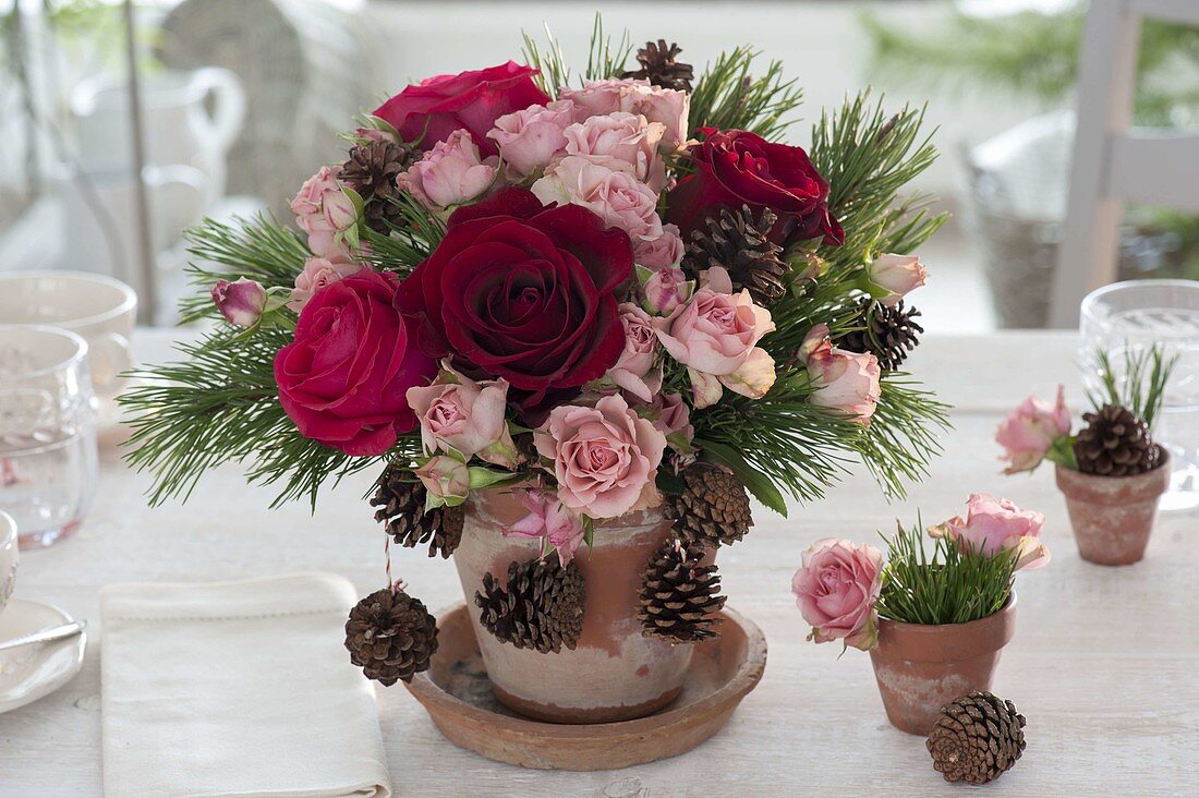 Winter bouquet with rose, Pinus twigs and cones