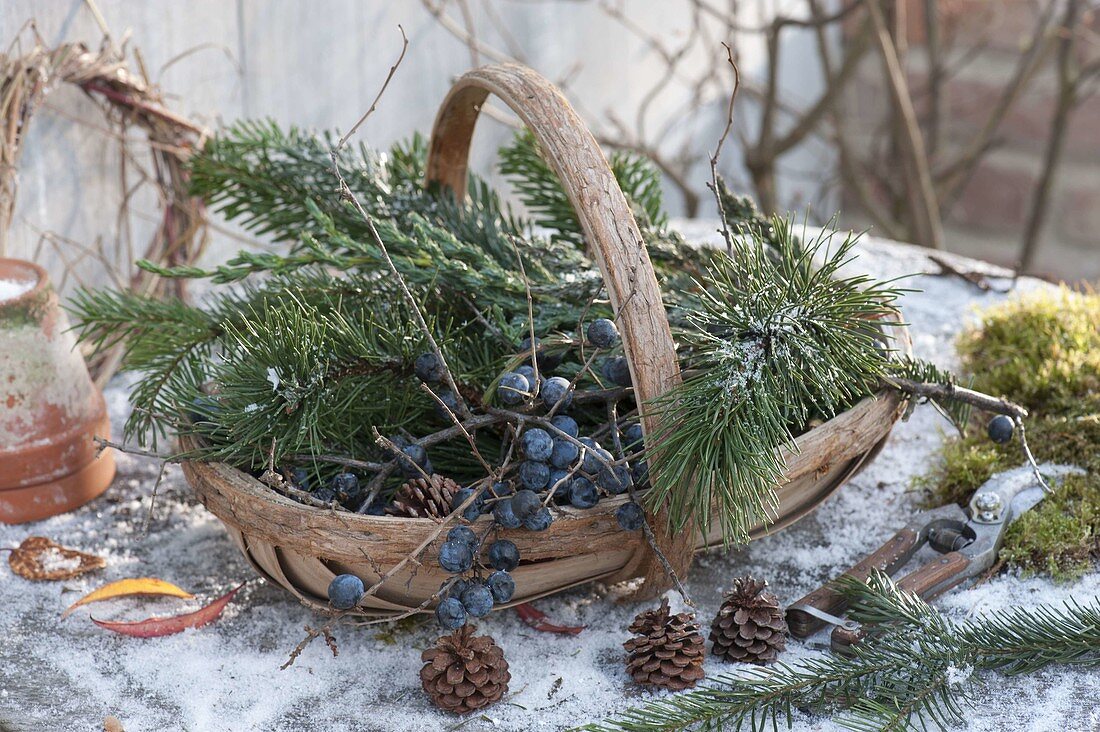 Basket with branches for winter floristry