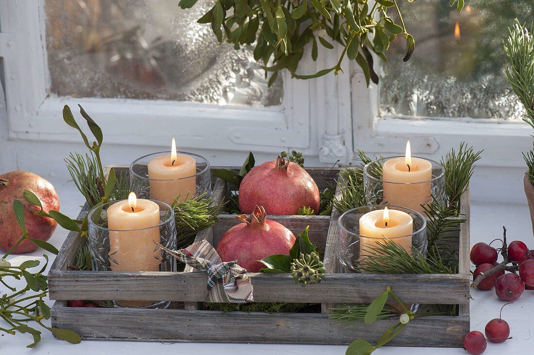 Holzkiste mit Kerzen in Gläsern, Granataepfeln (Punica granatum)