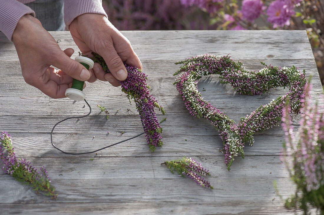 Pink and white heart of heather