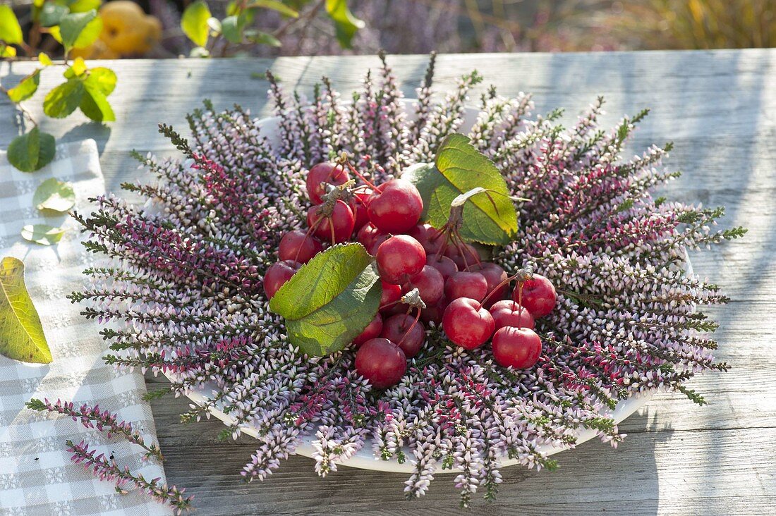 Rote Malus (Zieräpfel)