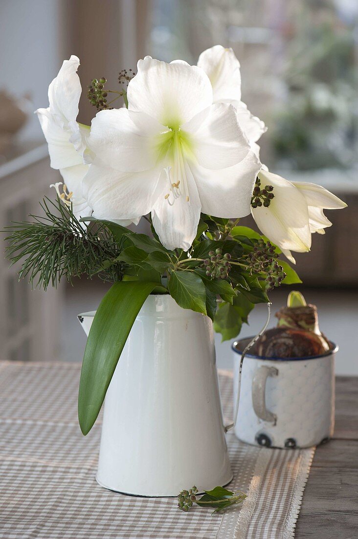 Strauss mit Hippeastrum (Amaryllis), Hedera (Efeu) und Pinus (Kiefer)