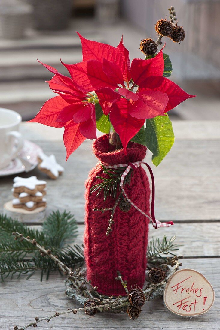 Selbstgemachtes Geschenk : Flasche als Vase mit roter Strick-Verkleidung