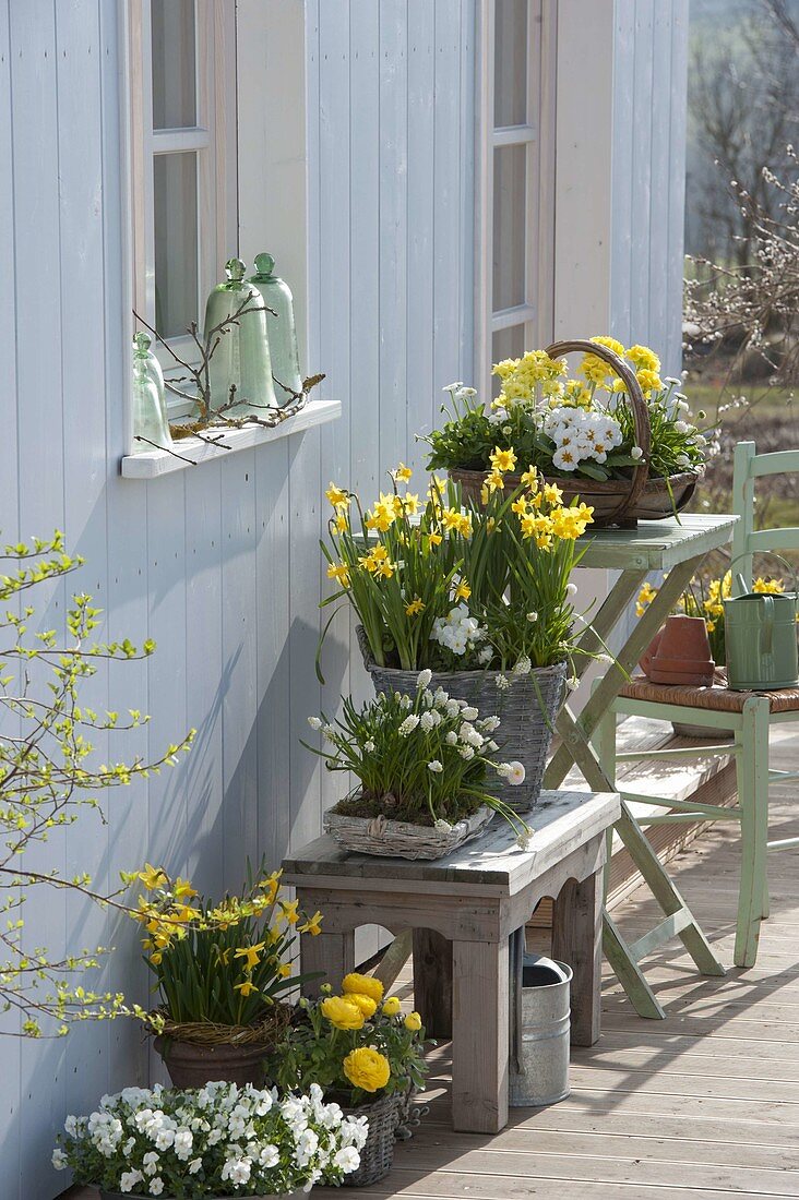 Weiß-gelbe Frühling-Terrasse