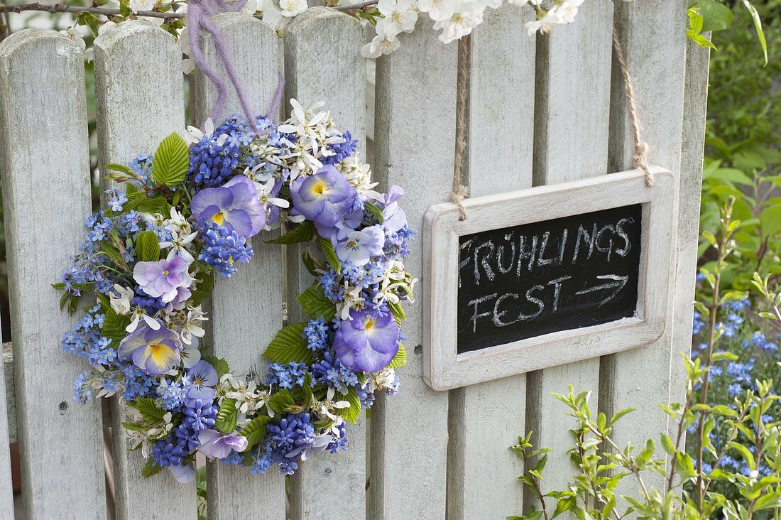 Wreath in blue and purple on the fence: Myosotis (forget-me-not), Muscari