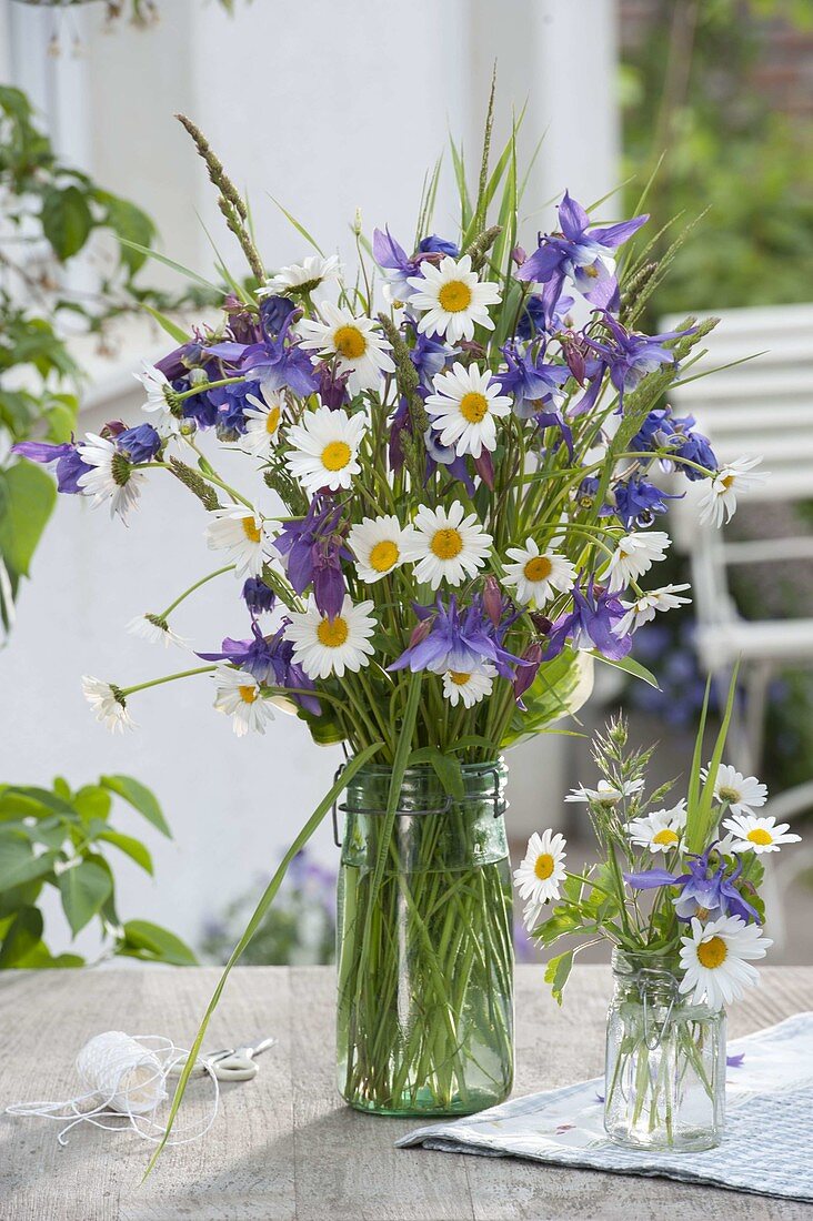 Blau-weisser Strauss aus Leucanthemum vulgare (Margeriten), Aquilegia