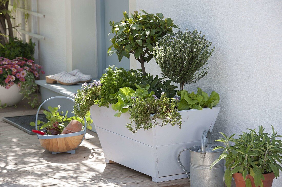 Herb box on the terrace