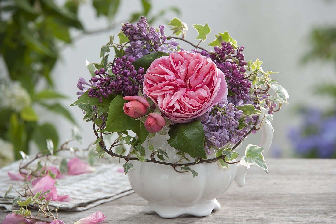 Small arrangement in cream jug: Rose 'Chippendale' (Nostalgia Rose)
