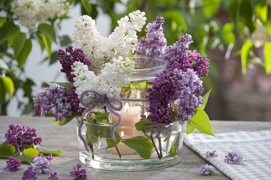 Windlicht aus ineinandergestellten Gläsern mit Blüten von Syringa (Flieder)