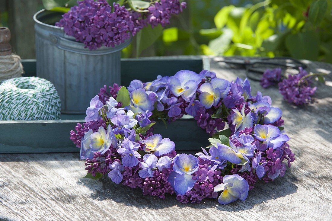 Wreath of Syringa (lilac) and Viola cornuta 'Etain' (horned violet)