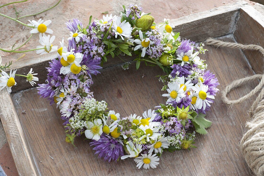 Making a wreath from flowering herbs and strawberries