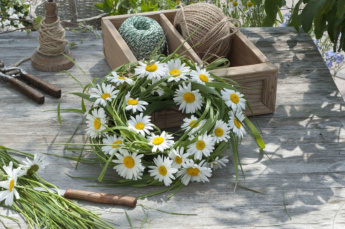 Kranz aus Leucanthemum vulgare (Margeriten) und Wiesengraesern