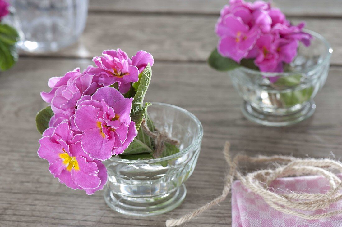 Small bouquets of Primula acaulis (primroses) in jars