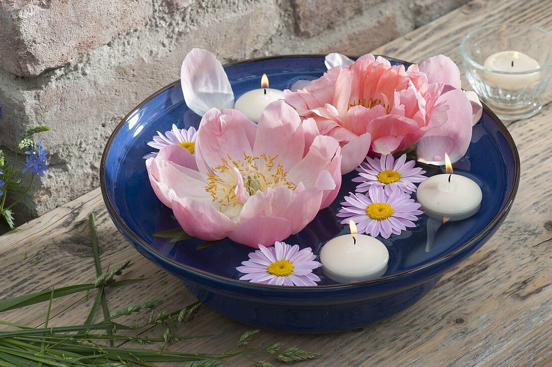 Blue bowl with floating candles and flowers of Paeonia lactiflora