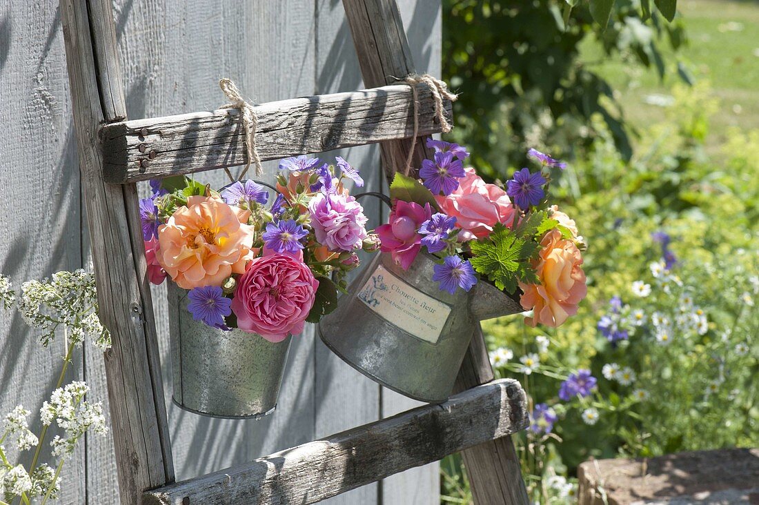Zinc containers with various pinks (roses) and geranium
